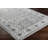 Winchester Oriental Indoor Rug-156111820