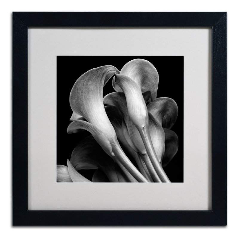 « lillies », reproduction de photo encadrée, H 16 po x l 16 po x P 0,5 po