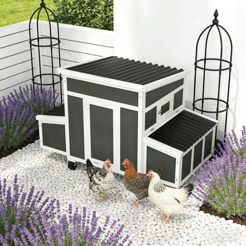 Maison pour animaux de compagnie, poulailler en bois