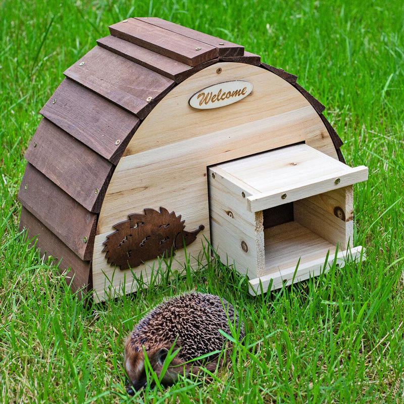 Arthurs Bird Cage