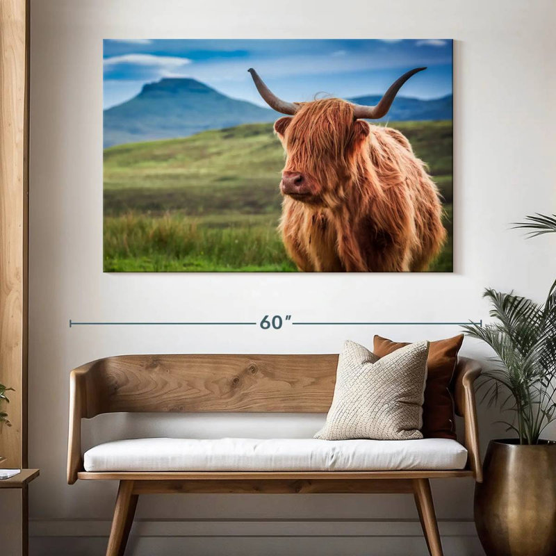 Brampt Furry Highland Cow, 34" H x 51" W