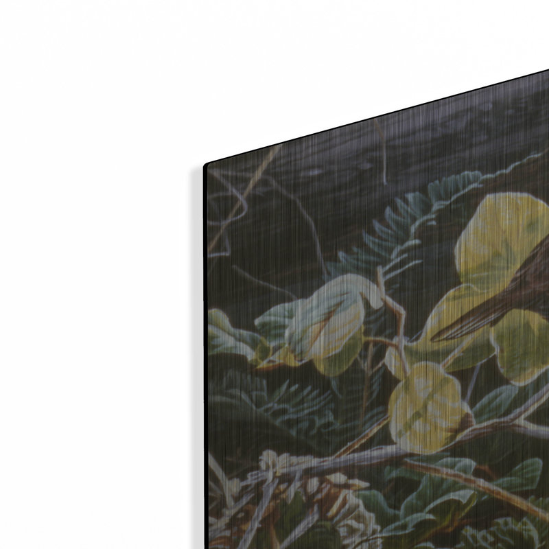 «Song Sparrow On Salal» par Ron Parker, art mural en métal, H 24 po x l 36 po