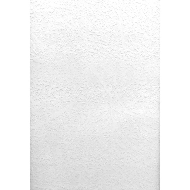 Rouleau de papier peint à peindre L 33 pi x l 20,5 po Altadena Brassica