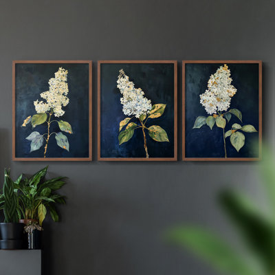 Floral Study  Series  LV  -Set Of 3 Framed Giclee Prints -Ready to Hang