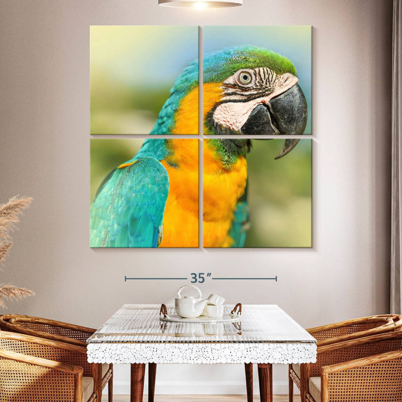Brampt Parrot, 50" H x 50" W