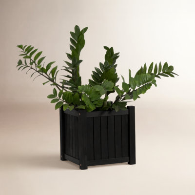 Morry 14" Acacia Wood Planter Box