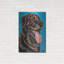 "Labs" par Carolee Vitaletti-1537910533
