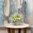 Ferdinand Heather Arrangement in Pot-28784520
