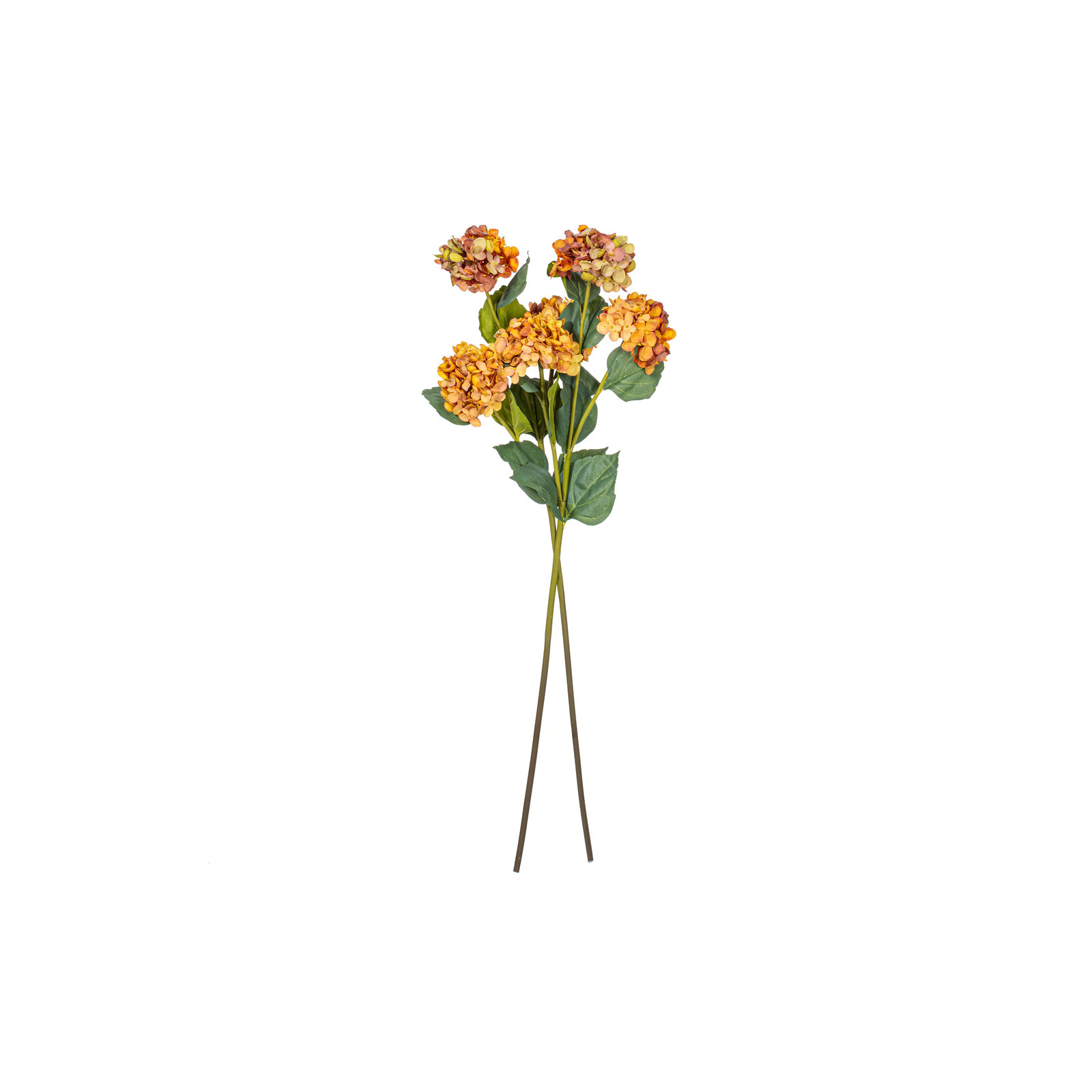 Hydrangea Stem, Yellow