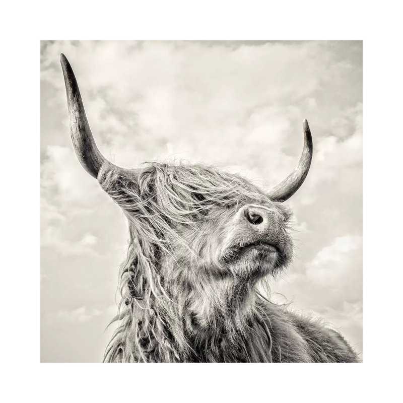 Magnificence I by Mark Gemmell - Wrapped Canvas Print, 93.98 cm H x 93.98 cm W x 3.175 cm D