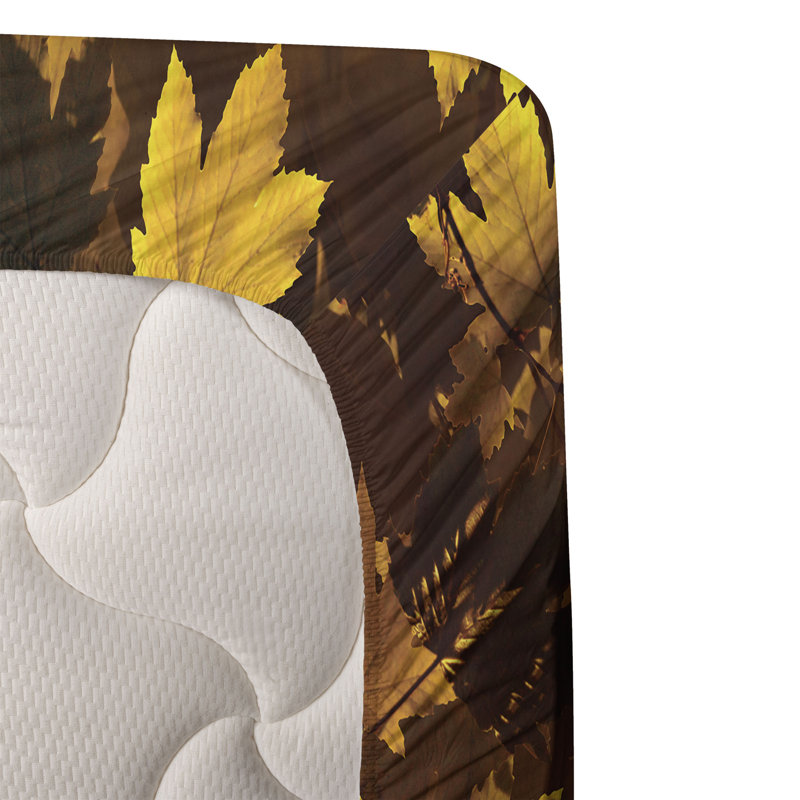 Microfiber Sheet Set, Full