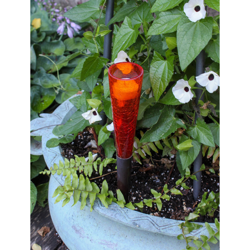 Votive en verre Madore