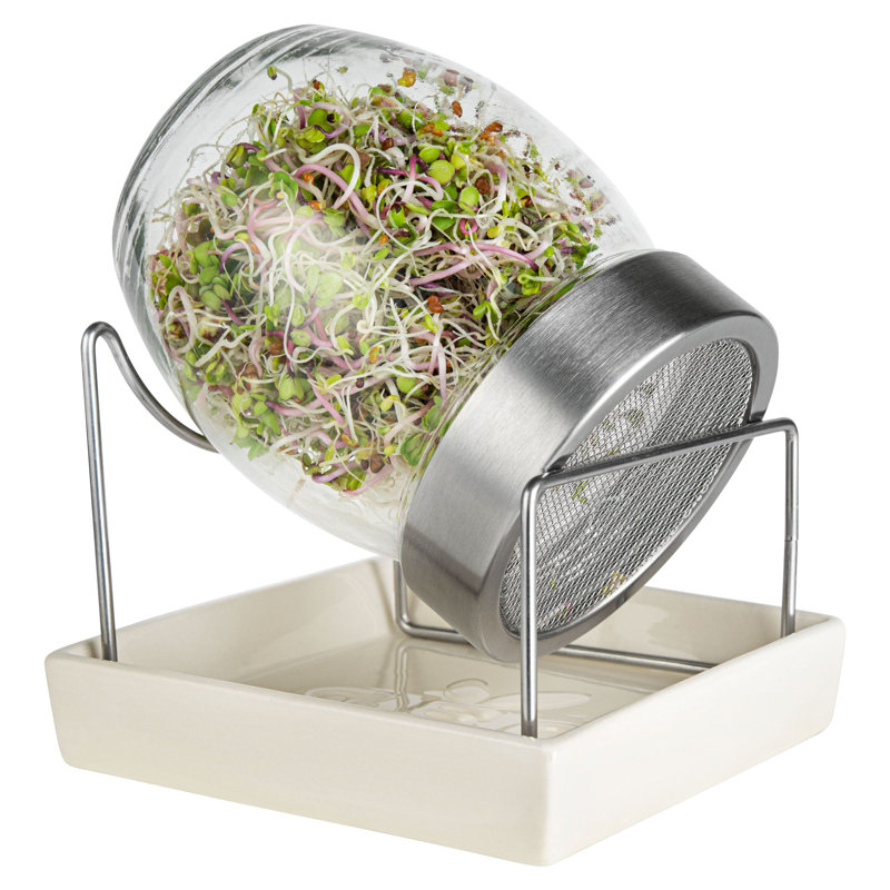 Geo Sprouting Jar System with Stainless Steel Rack and Ceramic Base Plate
