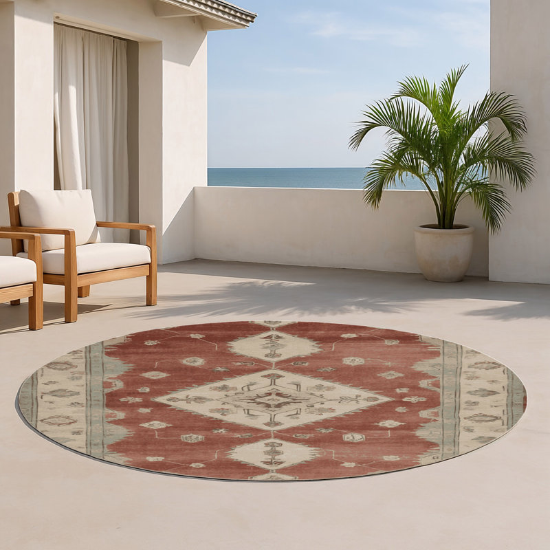 Tapis intérieur et extérieur brun Overdyed, Rond 5 pi