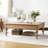Aristidh Rectangular Lift Top Coffee Table with Storage Shelf-1957313857