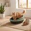 Cassiel Plastic Litter Box-245969235