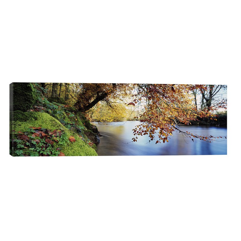 Trees Along A River River Dart, Bickleigh, Mid Devon, Devon, England by Panoramic Images - Wrapped Canvas Panoramic Print
