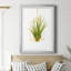 «Hanging Airplant II», reproduction d'art sur papier encadrée-71987300-71987302