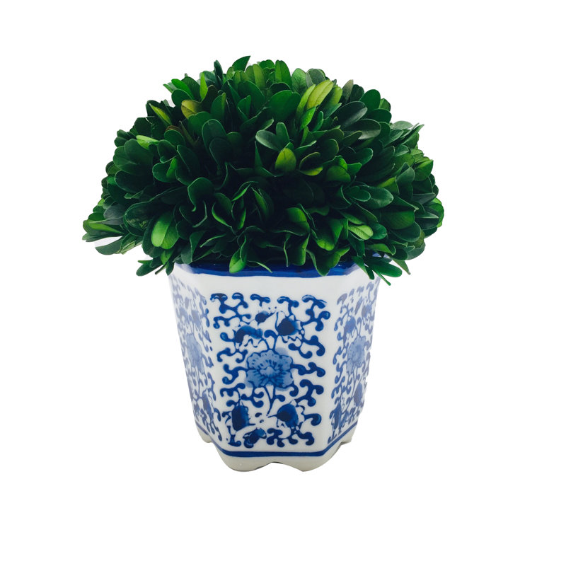 Boule de buis avec pot bleu et blanc, H 7,09 po x l 5,59 po x P 5,9 po