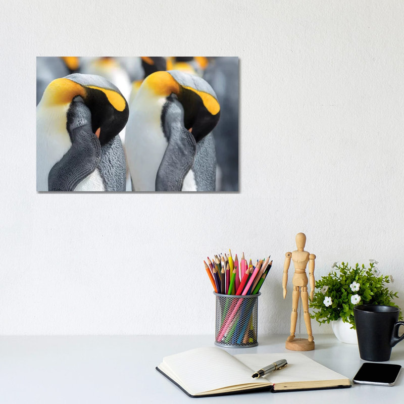 King Penguin On Falkland Islands. by Martin Zwick - Wrapped Canvas Gallery-Wrapped Canvas Giclée, 20.32 cm H x 30.48 cm W