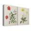 Fleurs des saisons - Toile tendue avec châssis de qualité supérieure - prête à être accrochée-108966278