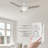 Fronniah 56'' Ceiling Fan with LED Lights-1633574679