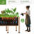 Yadid Elevated Wooden Raised Garden Bed with Legs â€“ Deep Planter Box for Deep-Rooted Plants, Ideal for Balcony or Patio, Easy Assembly-2134804875
