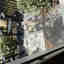 Photos des clients 1 de 2