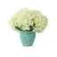 White Hydrangeas in Teal Ceramic Vase