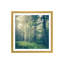 « inner paix » par olivia joy stclaire-impression à photographie-49905520-49905523