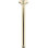 Ceiling Mount Showerarm