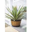Lightweight Recycled Plastic Garden Pot Planter with Drainage Holes Oban Whiskey Barrel-1647854967-1647854966