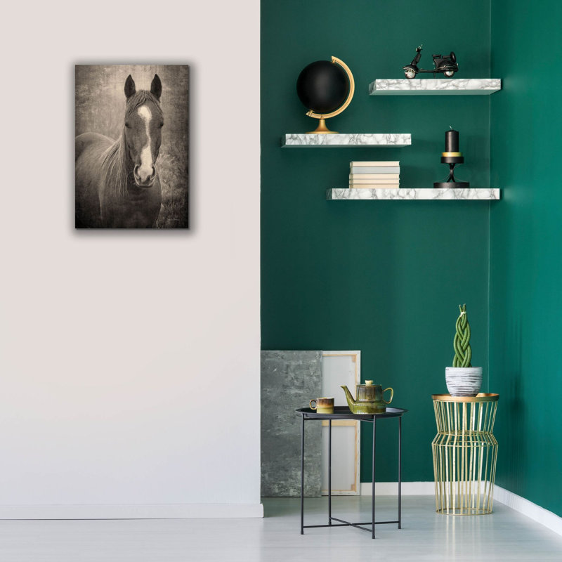  «Heres Looking You II» par Debra Van Swearingen, art mural sur toile, 18 po x 26 po, H 26 po x l 18 po