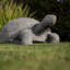 Statue de jardin en béton résistante aux intempéries Fayyaz