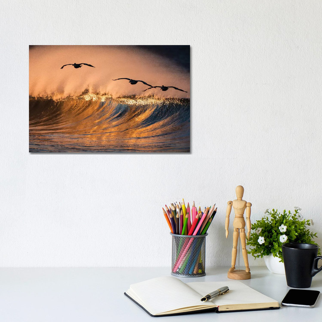 3 Pelicans and Wave by David Orias - Wrapped Canvas Photograph