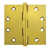 PVD Polished Brass