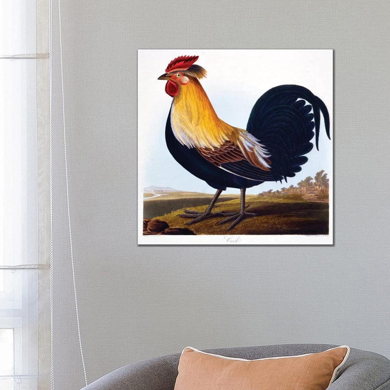 Cock by Charlotte L. E. Perrott - Wrapped Canvas Print, 66.04cm H x 66.04cm W x 1.91cm D