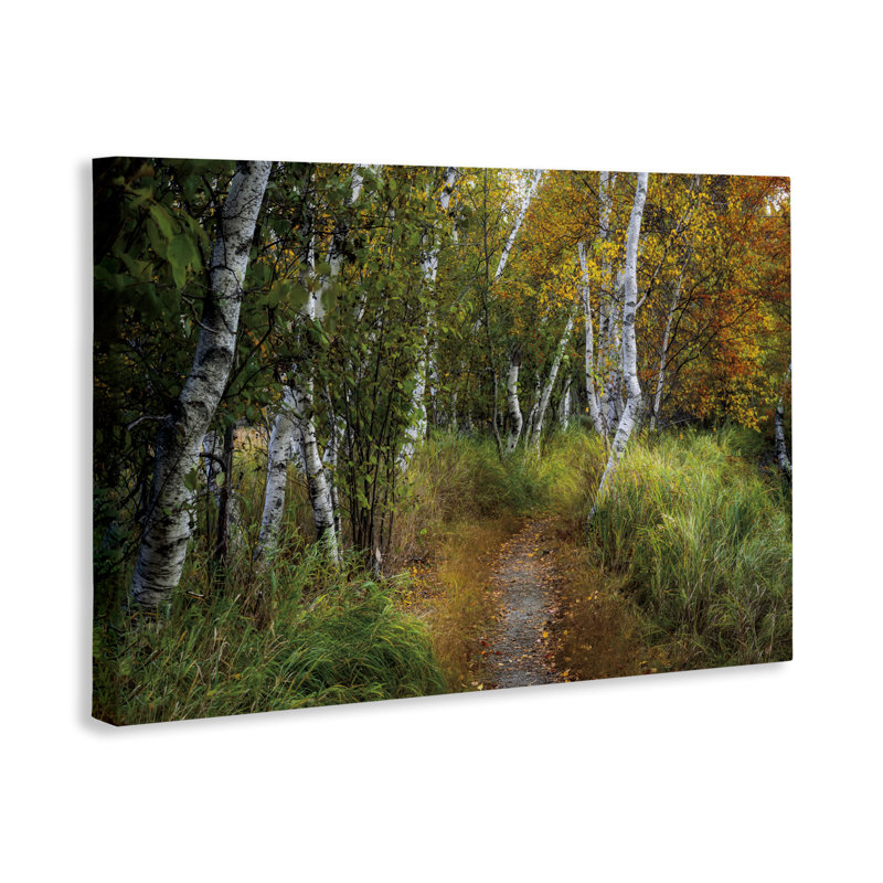 «Walk In The Hemlocks Forest Canvas», conception par D. Burt, H 16 po x l 24 po