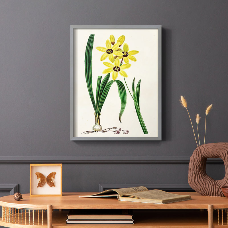 Reproduction encadrée Antique Floral Folio VI - bois massif, Gris, H 10 po x l 8 po