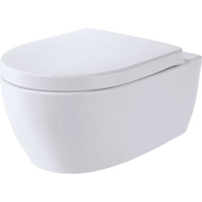 Wall Hung Toilet with soft close seat