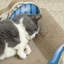 Scratching Post