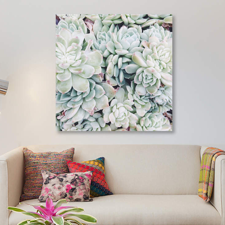'Primrose Green' by Chelsea Victoria Graphic Art Print on Wrapped Canvas
