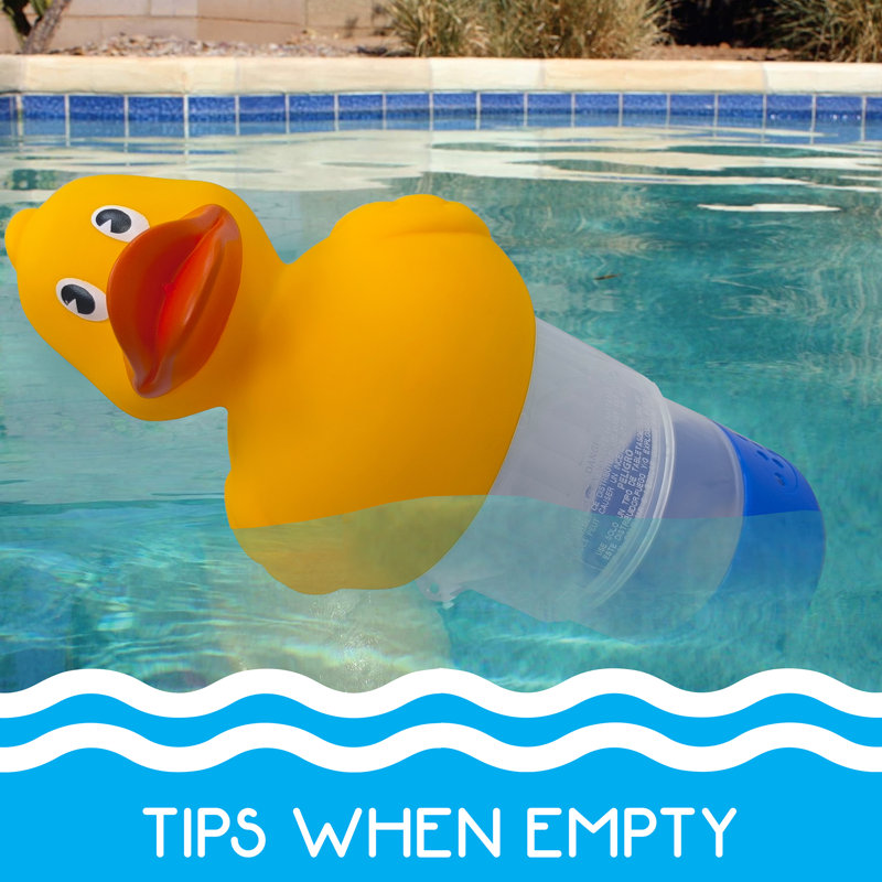 Chlorateur de piscine: petit - canard