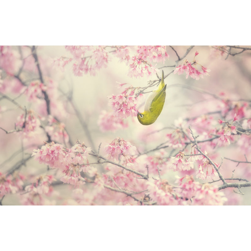 Wrapped Canvas Print, 60.96 cm H x 91.44 cm W