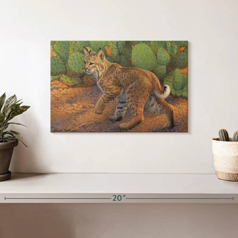 Brampt Curious Bobcat, 8" H x 12" W