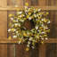 Couronne Waldo 24 po
