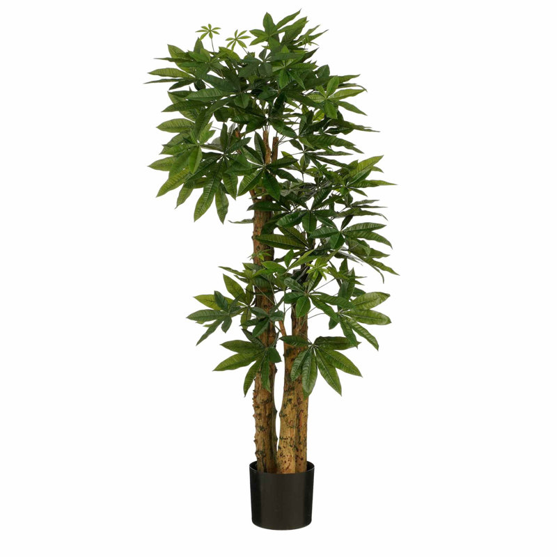 Pachira 5.741469816272966cm Artificial Tree