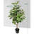 Faux Money Tree Plant in Pot-1382433208
