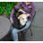 Explorer Pet Carrier-49785985-49785986