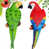 Vert / Rouge